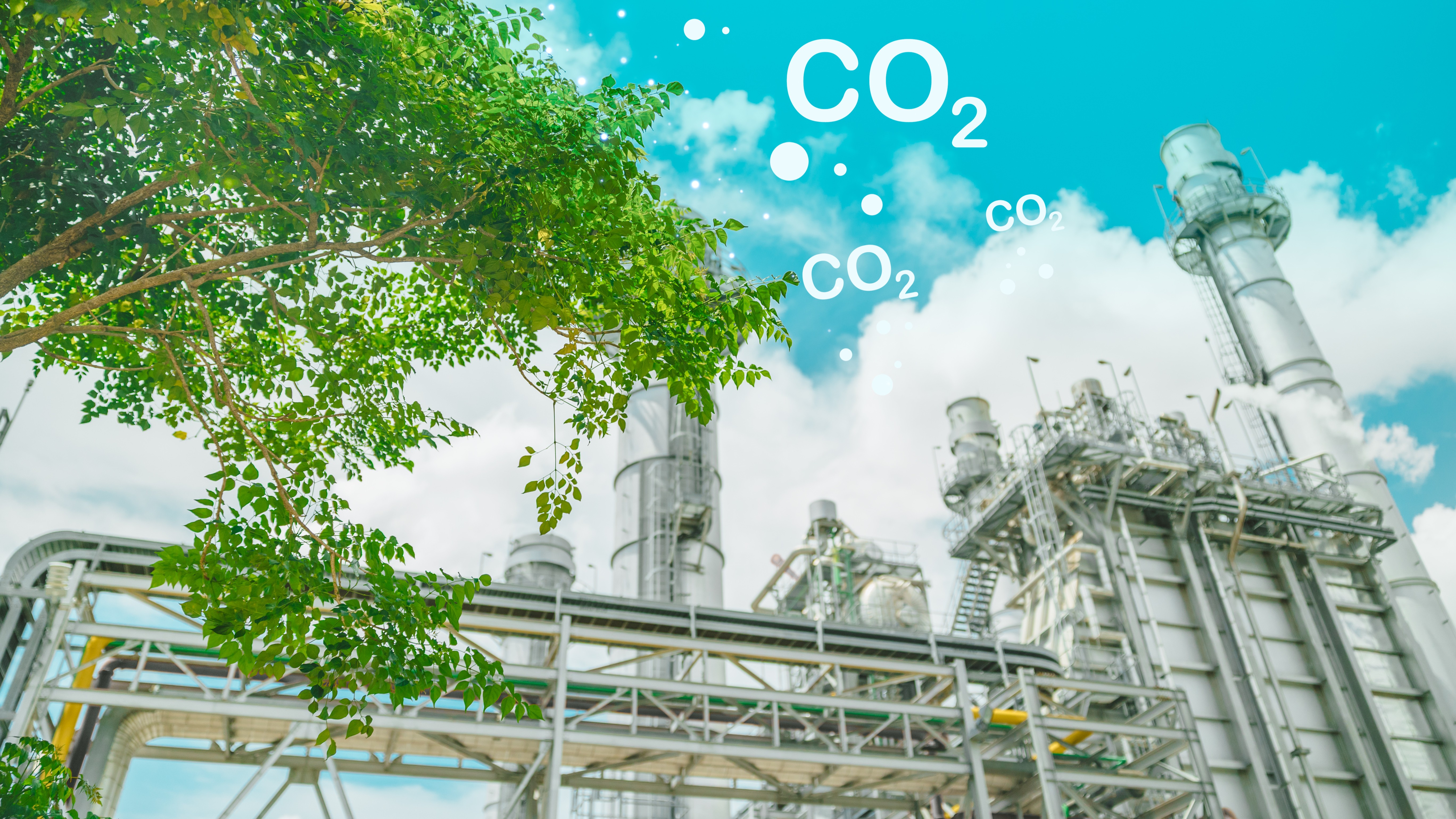 BIDV làm ngân hàng thanh toán duy nhất cho sàn giao dịch carbon Việt Nam